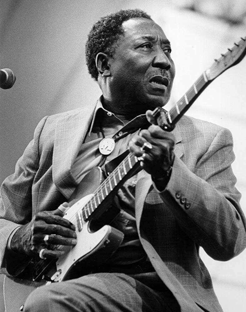 Muddy Waters 0