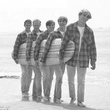 The Beach Boys 0